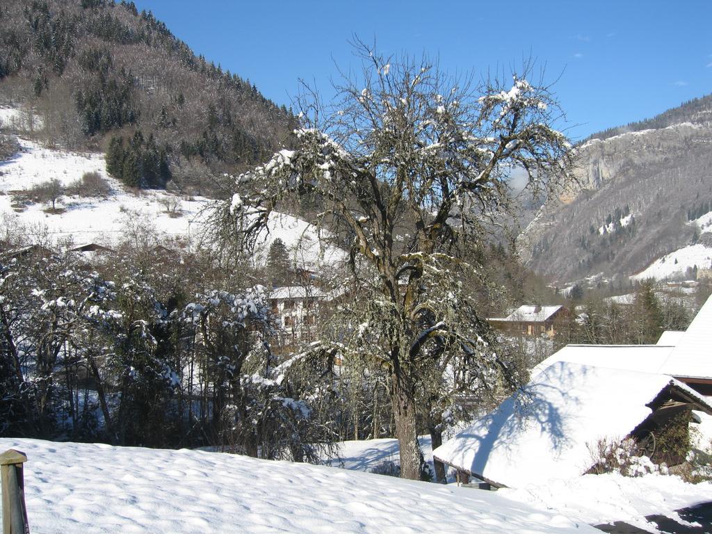 Appartement Borne Saint-Jean-d'Aulps Ruang foto