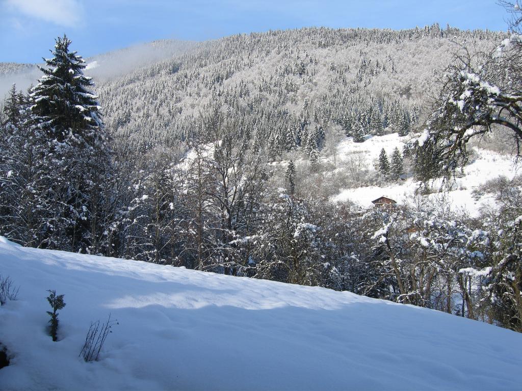 Appartement Borne Saint-Jean-d'Aulps Bagian luar foto